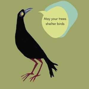 Meet your Posher, Barb